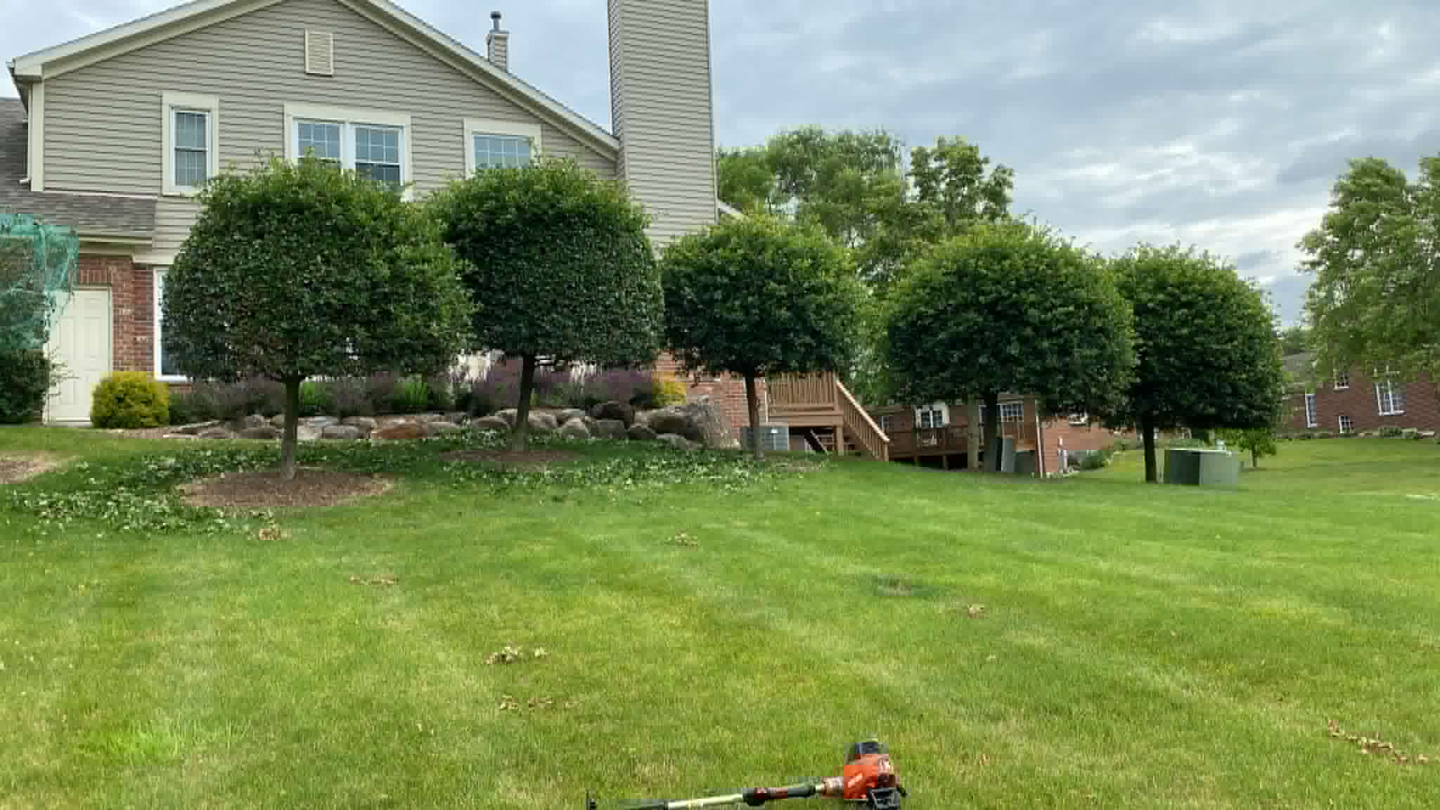 Large freshly mowed lawn