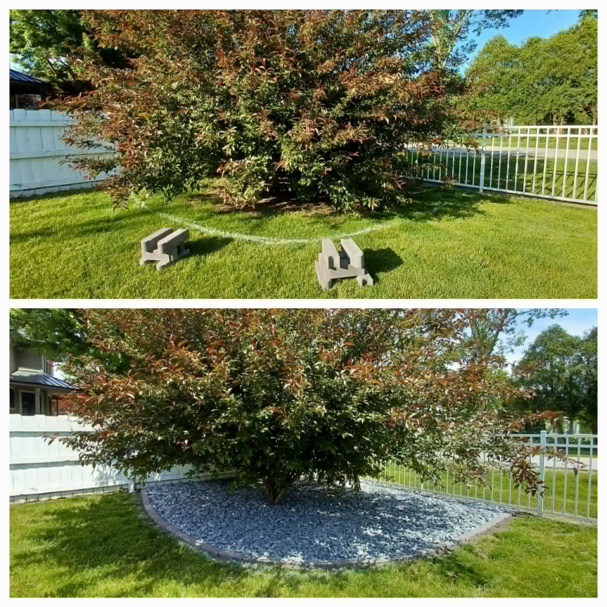 Large tree base cleanup collage