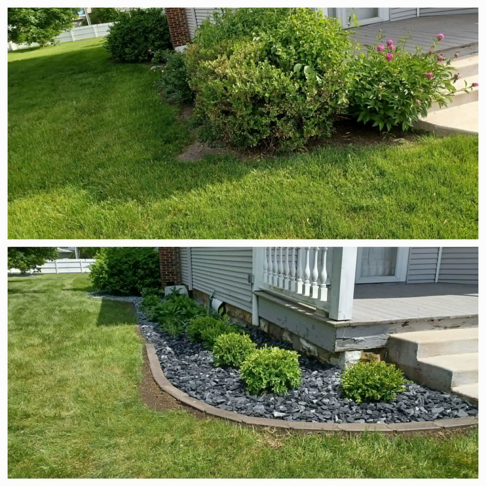Bush shaping collage