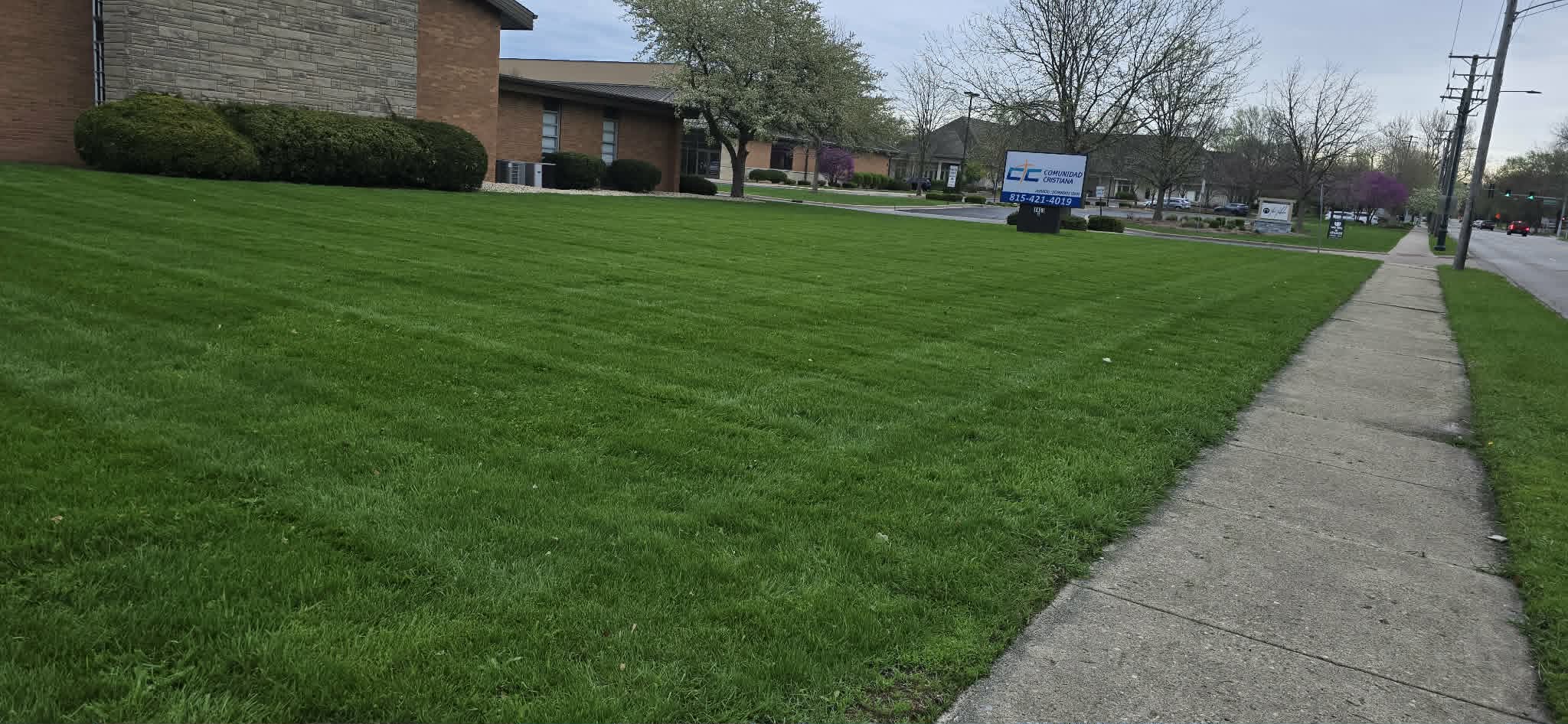 Clean mowed lawn, angled view