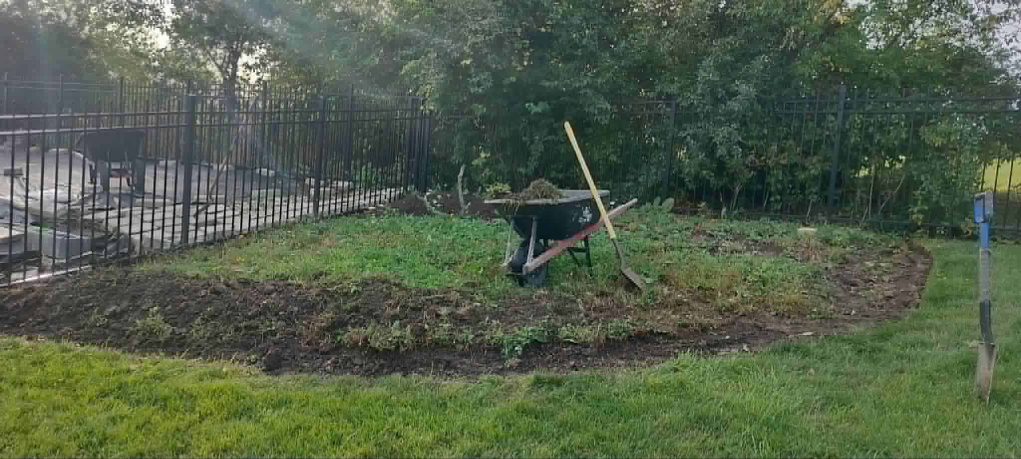 Yard corner before cleanup