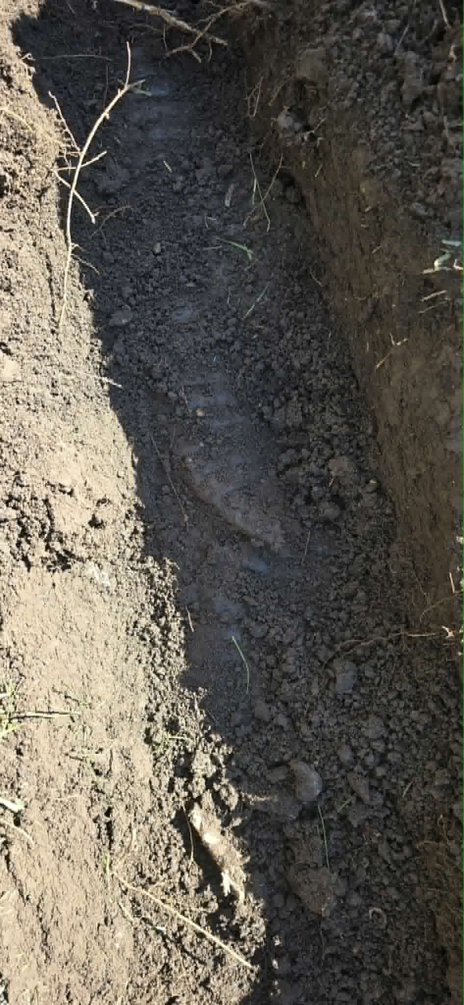 French drain closeup