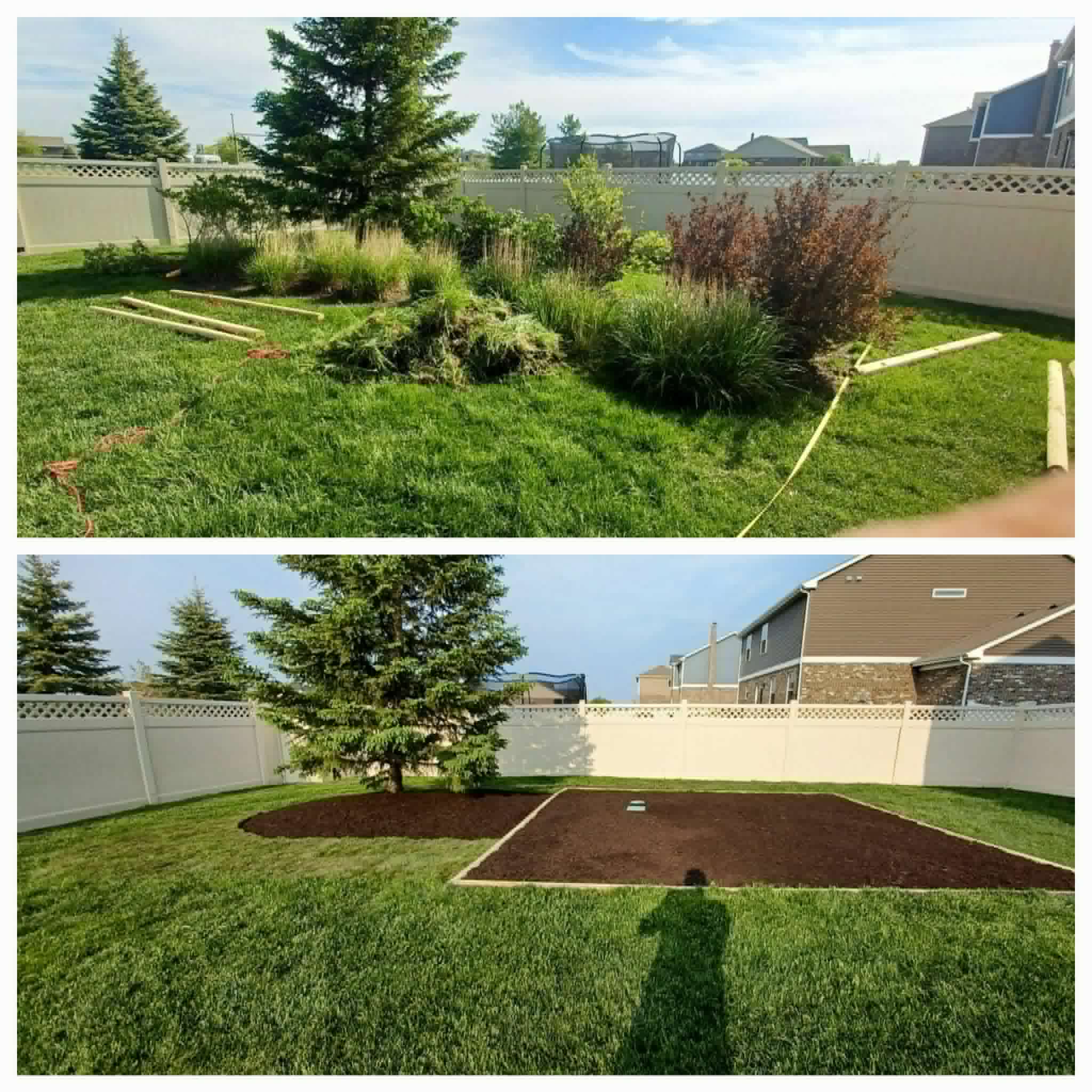Fence and weed cleanup