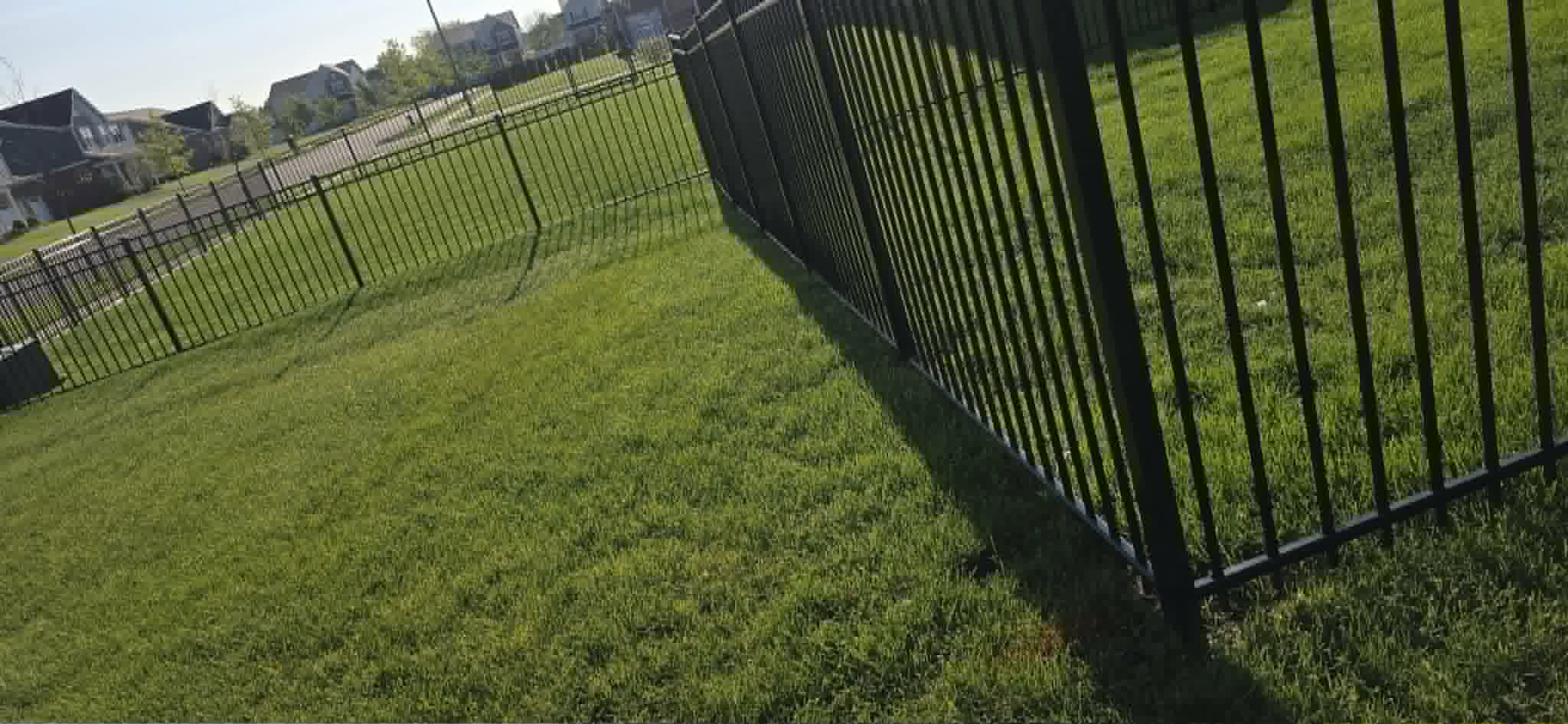 Lawn along fence