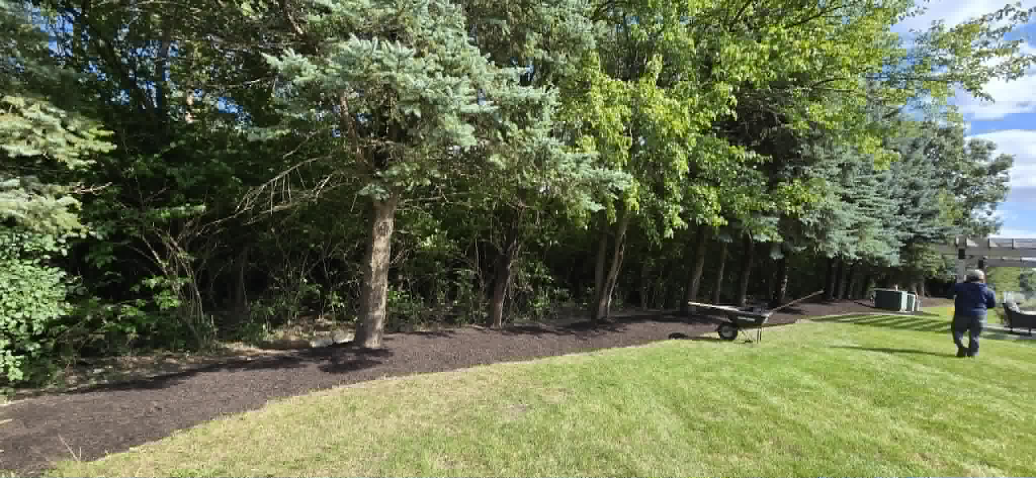 Cleared tree line