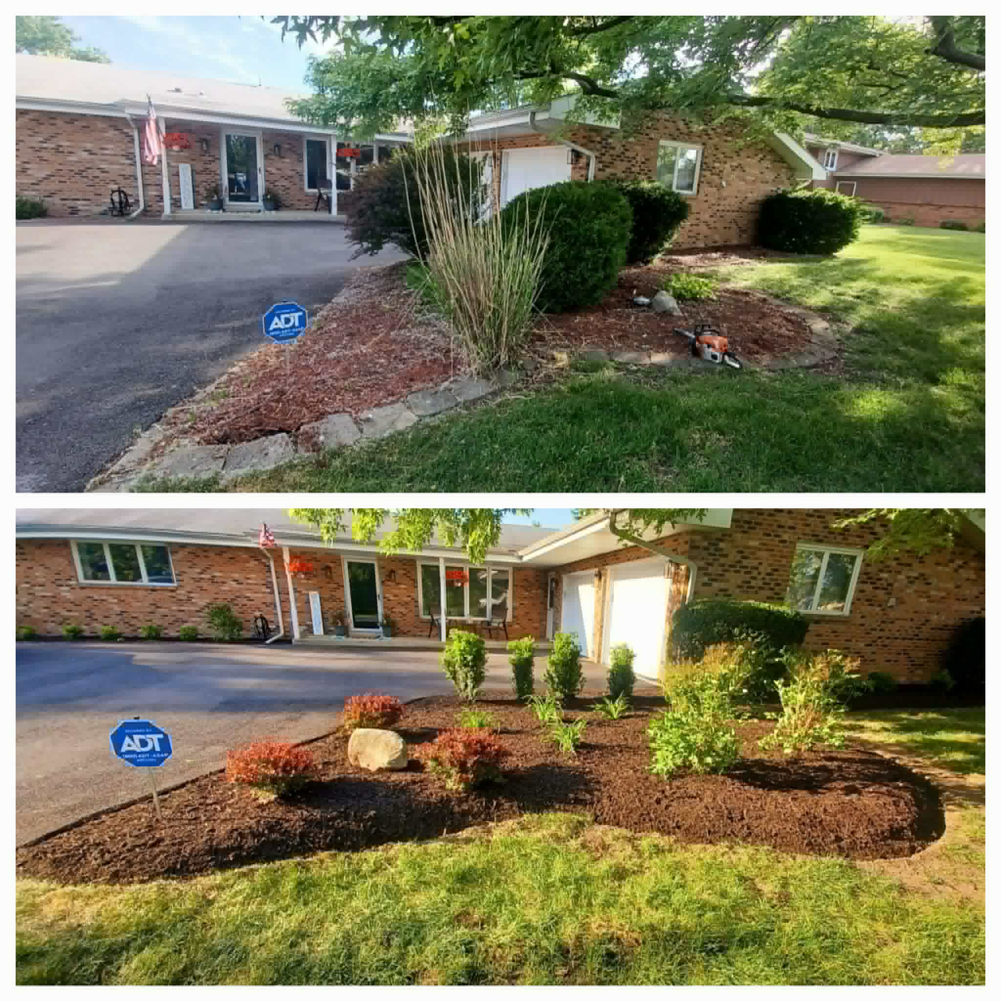 Front bush cleanup