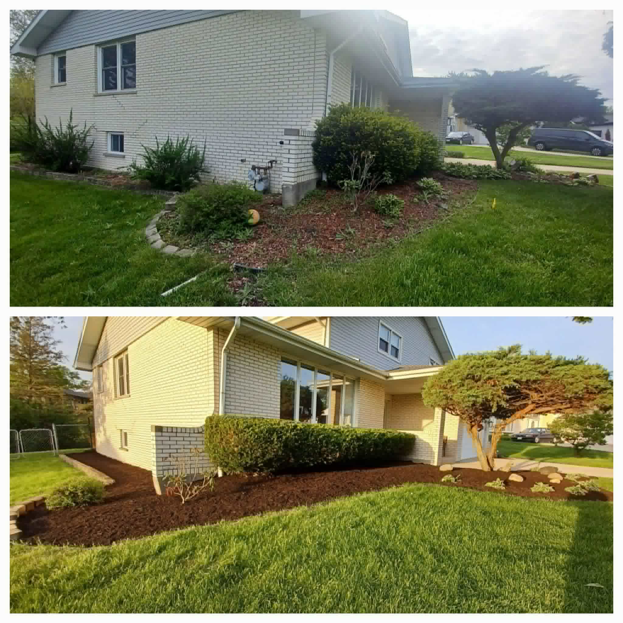 Front lawn cleanup