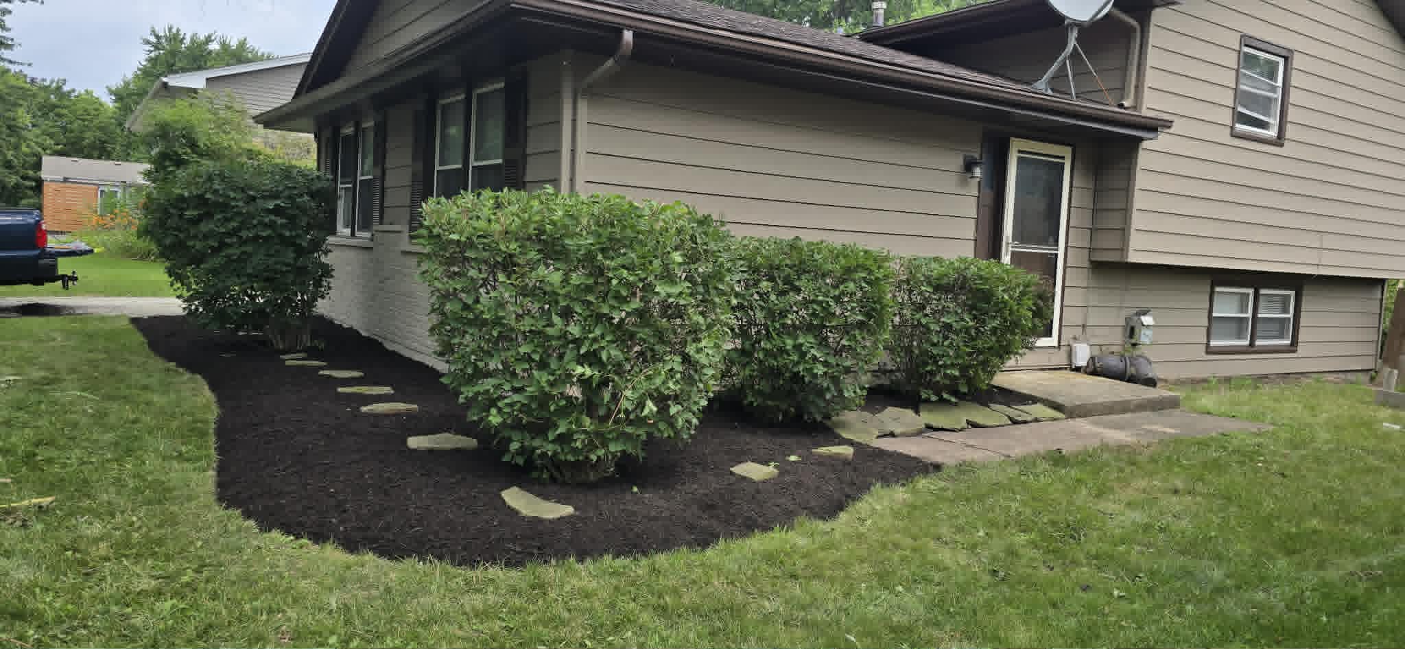 Huge bush after trimming