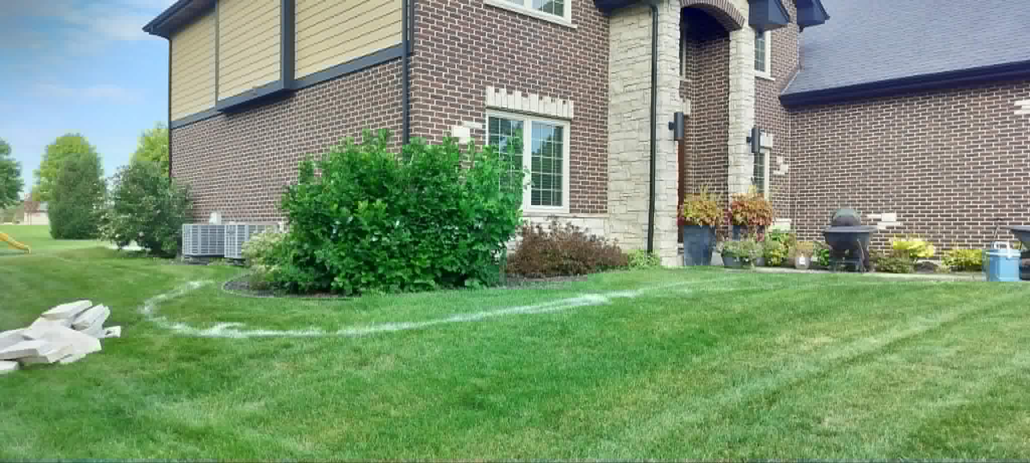 Overgrown yard before