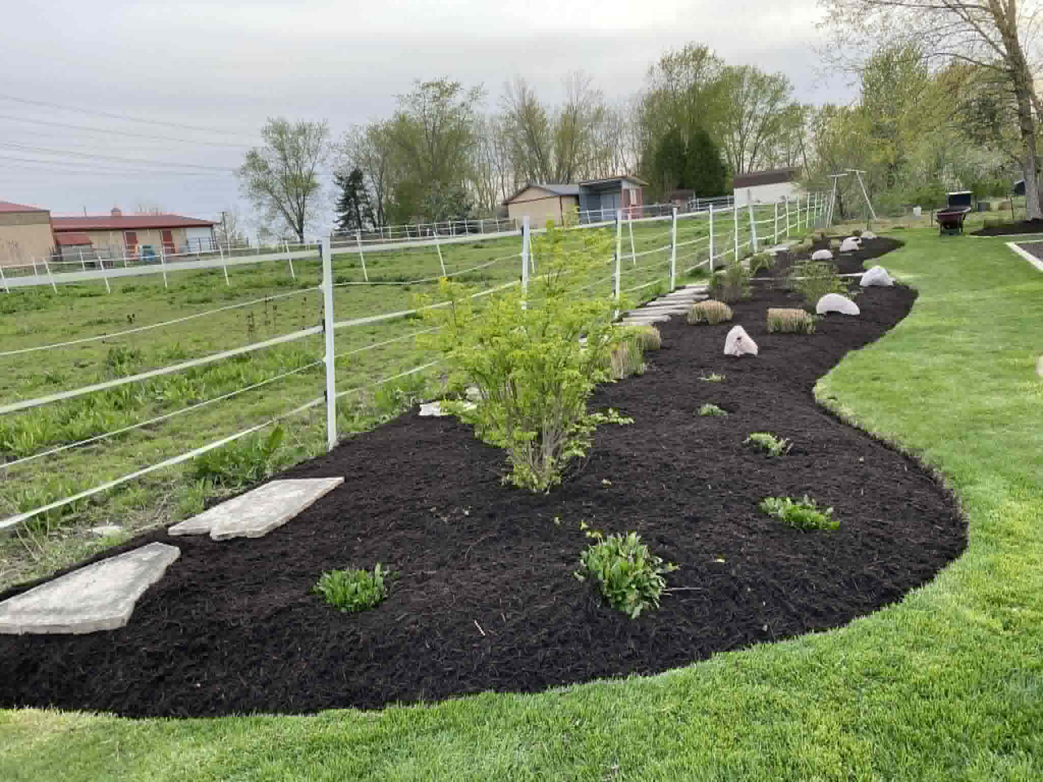 Fence line thinned
