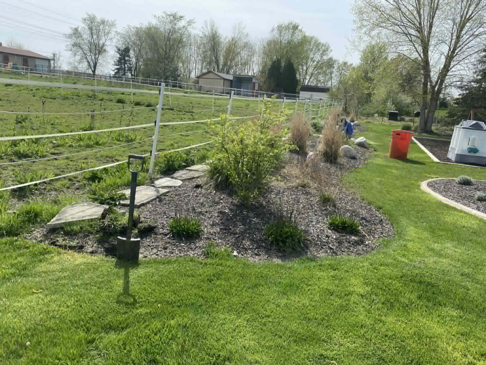 Fence line before thinning