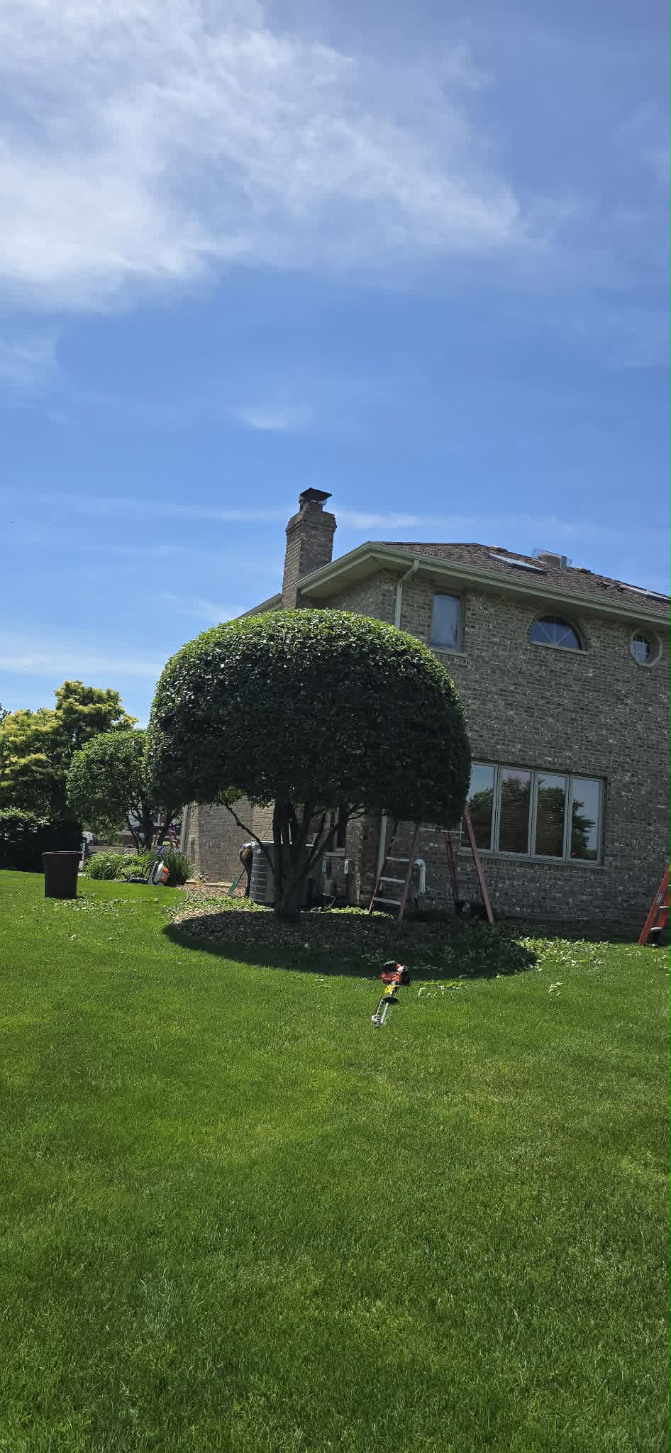 Tree cleanup after