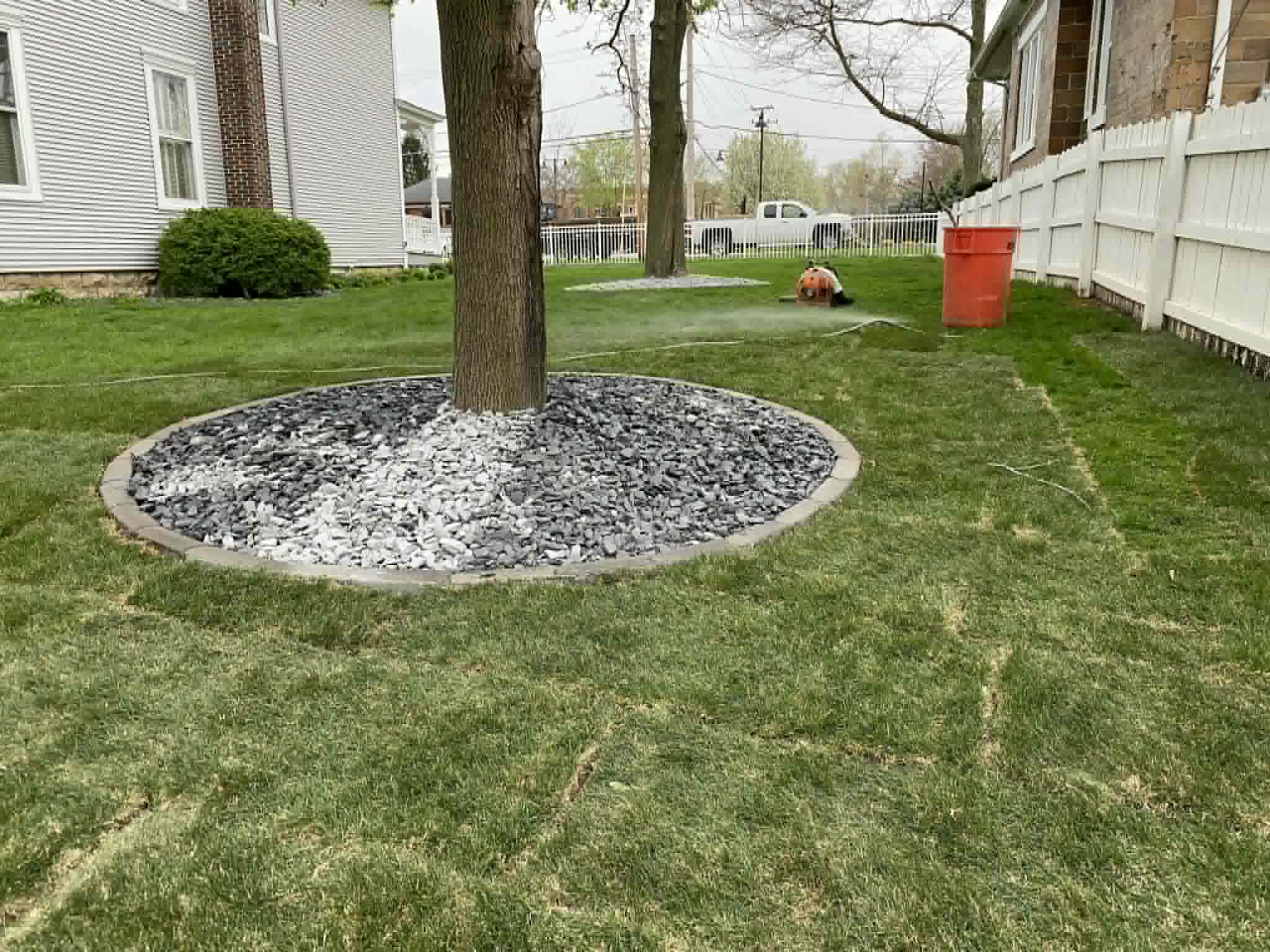 Tree base cleaned up
