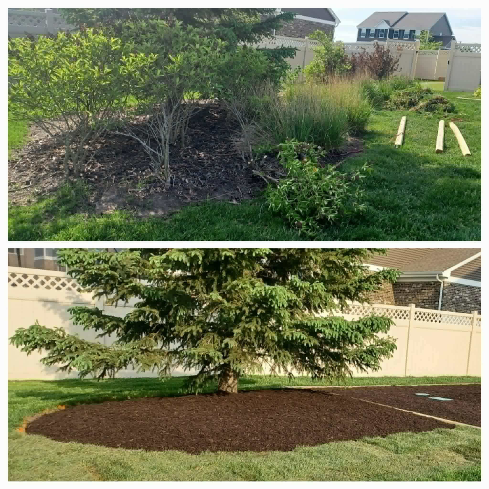 Tree cleanup collage