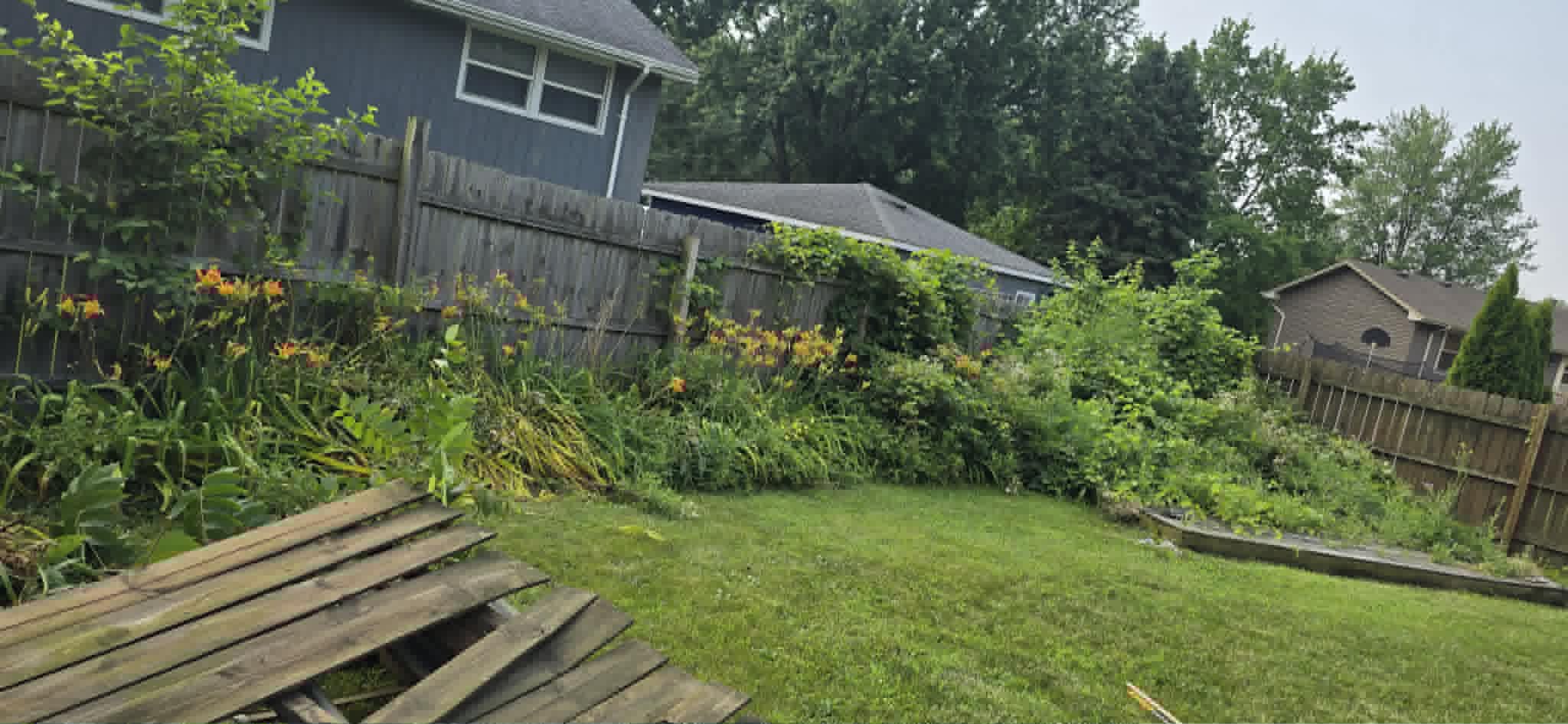 Weeds before clearing along fence